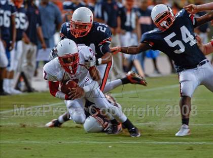 Thumbnail 1 in Plantation @ Stranahan photogallery.