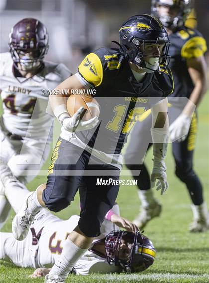 Thumbnail 3 in LeRoy @ Tuscola photogallery.