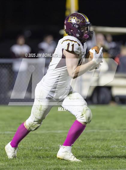 Thumbnail 3 in LeRoy @ Tuscola photogallery.