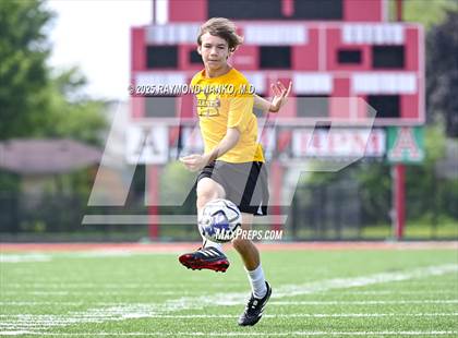 Thumbnail 3 in Daleville vs Marion photogallery.