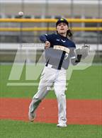 Photo from the gallery "Niagara Falls @ Grand Island"