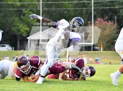 Thumbnail 1 in Mayflower @ Perryville photogallery.