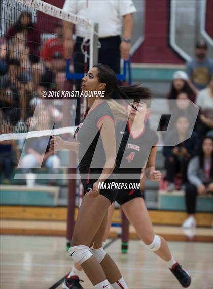 Thumbnail 2 in Elsinore @ Paloma Valley photogallery.