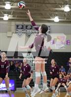 Photo from the gallery "Magnolia @ College Station"
