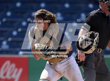 Thumbnail 3 in Northeast vs Palm Harbor University (BayCare Ballpark) photogallery.