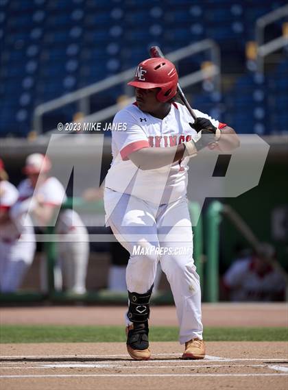 Thumbnail 2 in Northeast vs Palm Harbor University (BayCare Ballpark) photogallery.