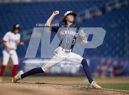 Thumbnail 2 in Northeast vs Palm Harbor University (BayCare Ballpark) photogallery.