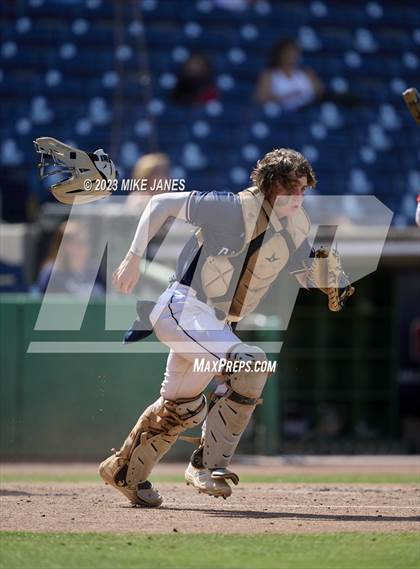 Thumbnail 3 in Northeast vs Palm Harbor University (BayCare Ballpark) photogallery.