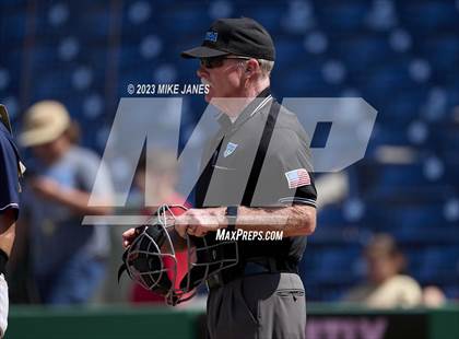 Thumbnail 3 in Northeast vs Palm Harbor University (BayCare Ballpark) photogallery.