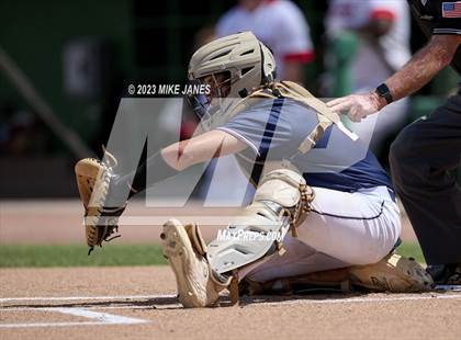 Thumbnail 2 in Northeast vs Palm Harbor University (BayCare Ballpark) photogallery.
