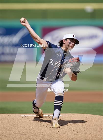 Thumbnail 1 in Northeast vs Palm Harbor University (BayCare Ballpark) photogallery.