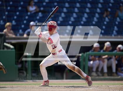 Thumbnail 2 in Northeast vs Palm Harbor University (BayCare Ballpark) photogallery.
