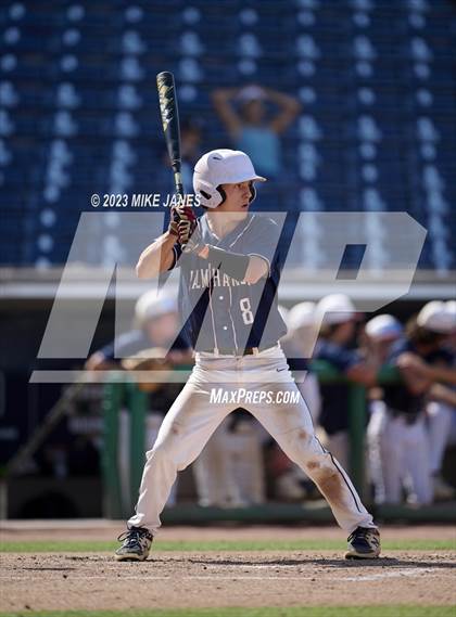 Thumbnail 1 in Northeast vs Palm Harbor University (BayCare Ballpark) photogallery.