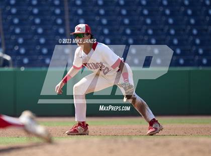Thumbnail 1 in Northeast vs Palm Harbor University (BayCare Ballpark) photogallery.