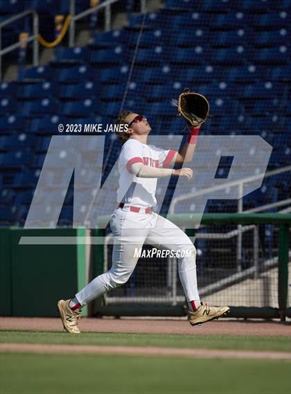 Thumbnail 2 in Northeast vs Palm Harbor University (BayCare Ballpark) photogallery.