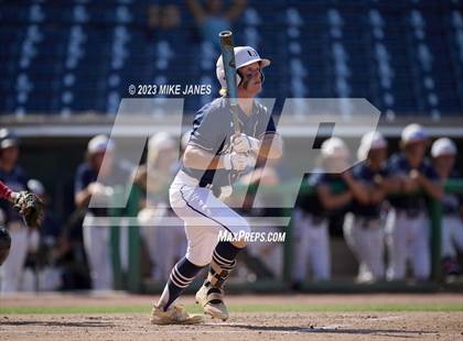 Thumbnail 2 in Northeast vs Palm Harbor University (BayCare Ballpark) photogallery.
