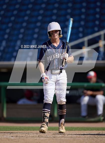 Thumbnail 3 in Northeast vs Palm Harbor University (BayCare Ballpark) photogallery.