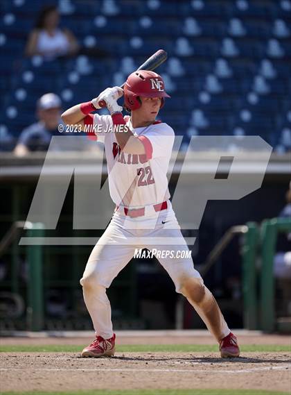 Thumbnail 2 in Northeast vs Palm Harbor University (BayCare Ballpark) photogallery.