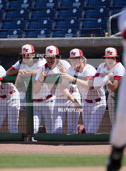 Thumbnail 3 in Northeast vs Palm Harbor University (BayCare Ballpark) photogallery.