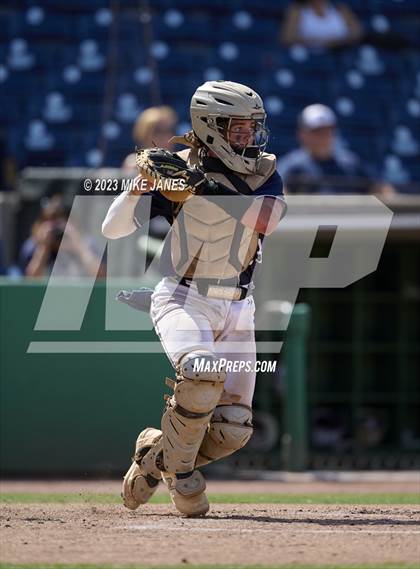 Thumbnail 1 in Northeast vs Palm Harbor University (BayCare Ballpark) photogallery.