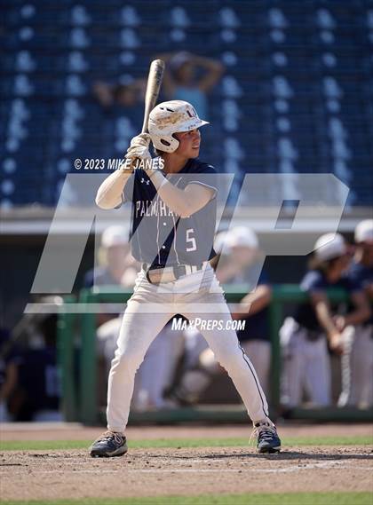 Thumbnail 1 in Northeast vs Palm Harbor University (BayCare Ballpark) photogallery.