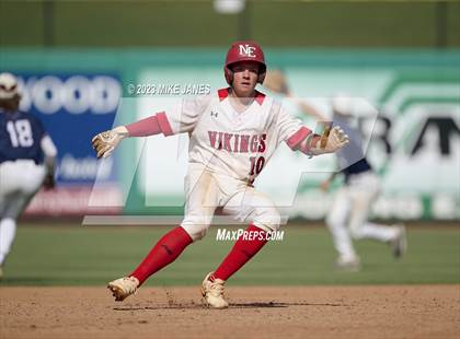 Thumbnail 3 in Northeast vs Palm Harbor University (BayCare Ballpark) photogallery.