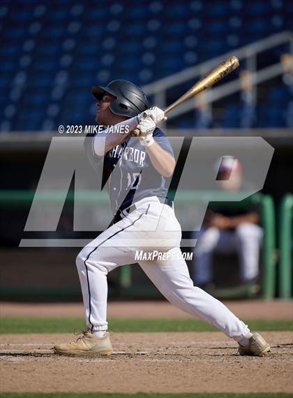 Thumbnail 1 in Northeast vs Palm Harbor University (BayCare Ballpark) photogallery.