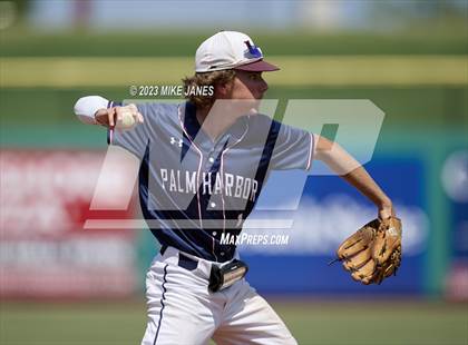 Thumbnail 2 in Northeast vs Palm Harbor University (BayCare Ballpark) photogallery.