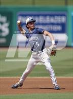 Photo from the gallery "Northeast vs Palm Harbor University (BayCare Ballpark)"