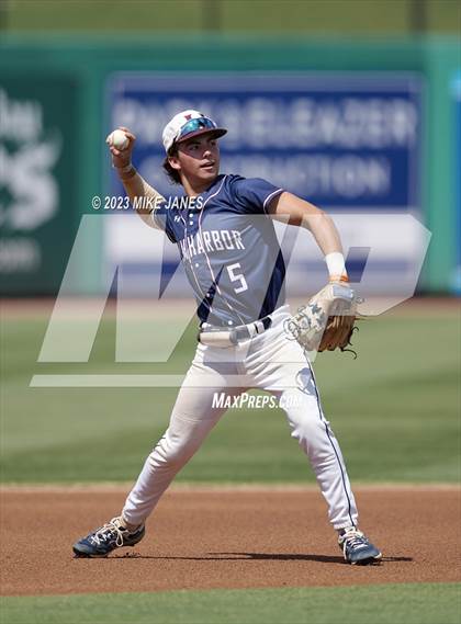 Thumbnail 2 in Northeast vs Palm Harbor University (BayCare Ballpark) photogallery.