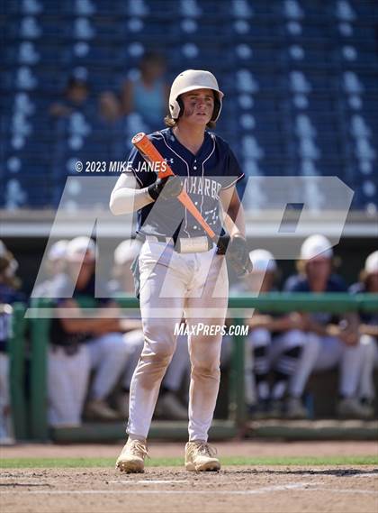 Thumbnail 1 in Northeast vs Palm Harbor University (BayCare Ballpark) photogallery.