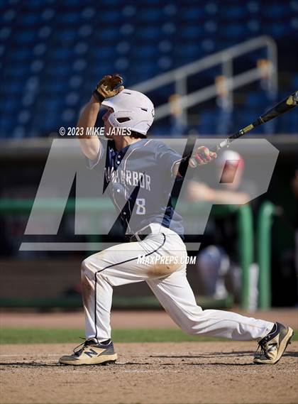 Thumbnail 3 in Northeast vs Palm Harbor University (BayCare Ballpark) photogallery.