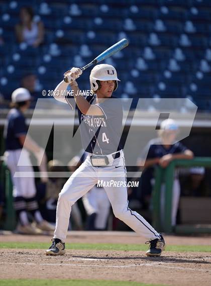 Thumbnail 2 in Northeast vs Palm Harbor University (BayCare Ballpark) photogallery.