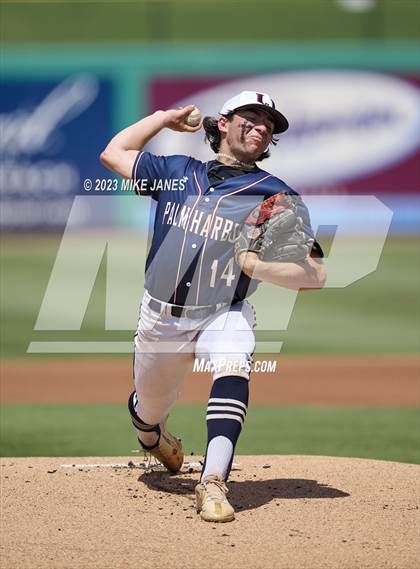 Thumbnail 3 in Northeast vs Palm Harbor University (BayCare Ballpark) photogallery.