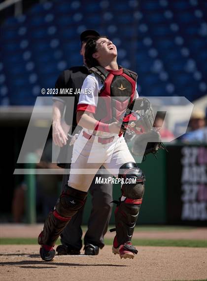 Thumbnail 1 in Northeast vs Palm Harbor University (BayCare Ballpark) photogallery.
