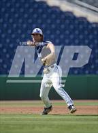Photo from the gallery "Northeast vs Palm Harbor University (BayCare Ballpark)"