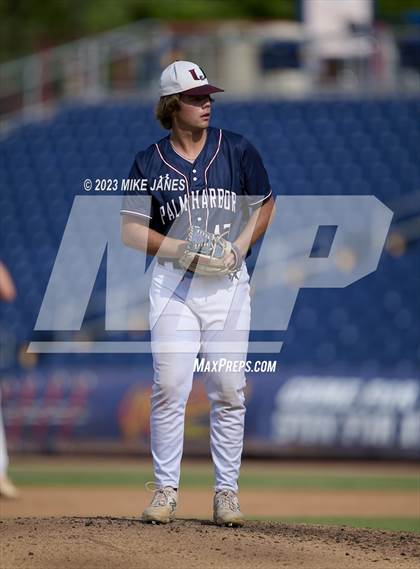Thumbnail 1 in Northeast vs Palm Harbor University (BayCare Ballpark) photogallery.