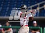 Photo from the gallery "Northeast vs Palm Harbor University (BayCare Ballpark)"