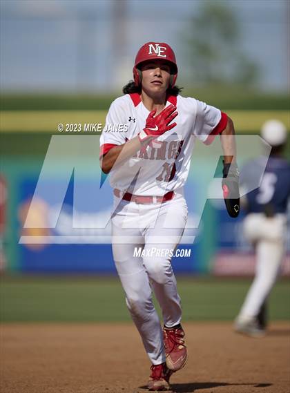 Thumbnail 2 in Northeast vs Palm Harbor University (BayCare Ballpark) photogallery.