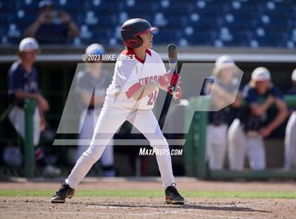Thumbnail 1 in Northeast vs Palm Harbor University (BayCare Ballpark) photogallery.