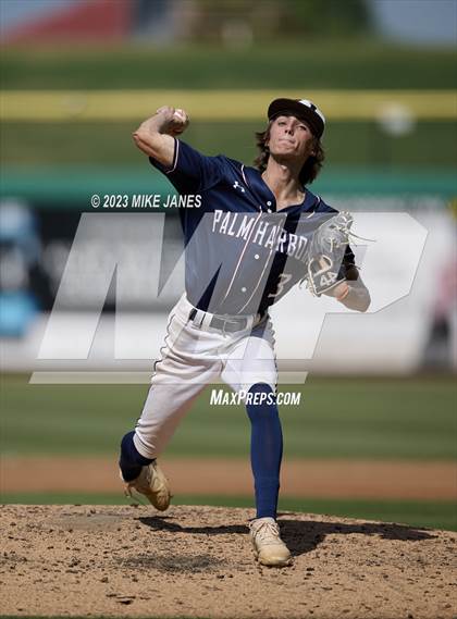 Thumbnail 1 in Northeast vs Palm Harbor University (BayCare Ballpark) photogallery.
