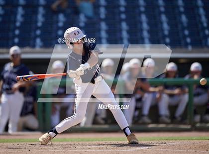 Thumbnail 3 in Northeast vs Palm Harbor University (BayCare Ballpark) photogallery.