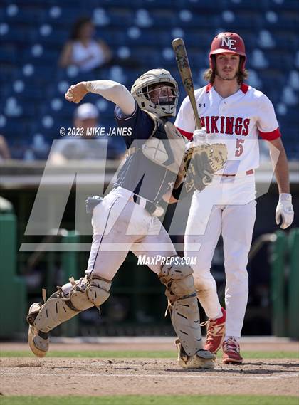 Thumbnail 2 in Northeast vs Palm Harbor University (BayCare Ballpark) photogallery.