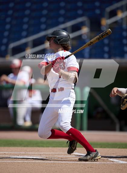 Thumbnail 1 in Northeast vs Palm Harbor University (BayCare Ballpark) photogallery.