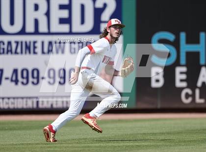 Thumbnail 2 in Northeast vs Palm Harbor University (BayCare Ballpark) photogallery.
