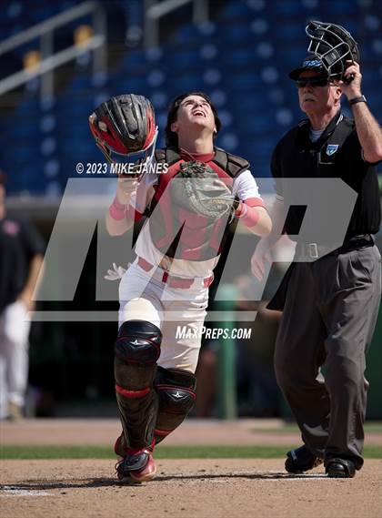 Thumbnail 3 in Northeast vs Palm Harbor University (BayCare Ballpark) photogallery.