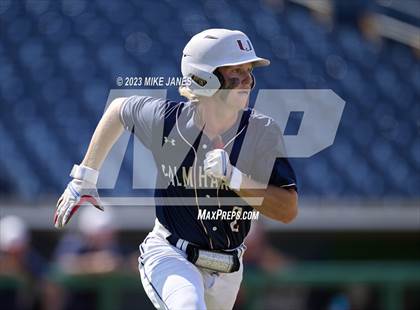 Thumbnail 3 in Northeast vs Palm Harbor University (BayCare Ballpark) photogallery.