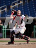 Photo from the gallery "Northeast vs Palm Harbor University (BayCare Ballpark)"