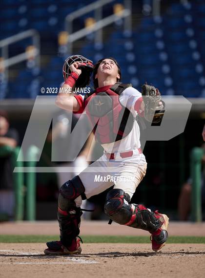 Thumbnail 2 in Northeast vs Palm Harbor University (BayCare Ballpark) photogallery.