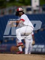 Photo from the gallery "Northeast vs Palm Harbor University (BayCare Ballpark)"
